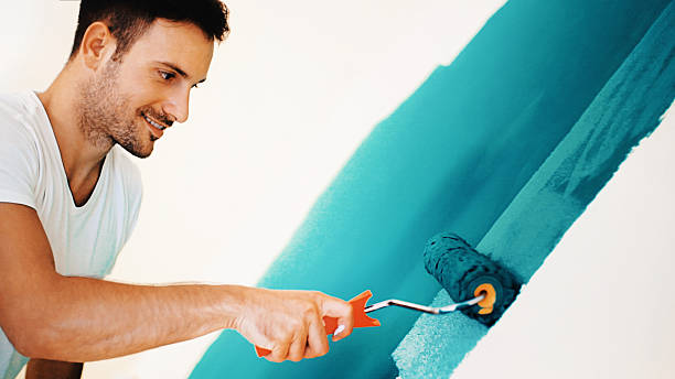 Best Black Mold Removal  in New Oxford, PA